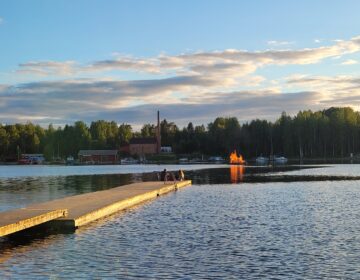 Kokko järvellä.